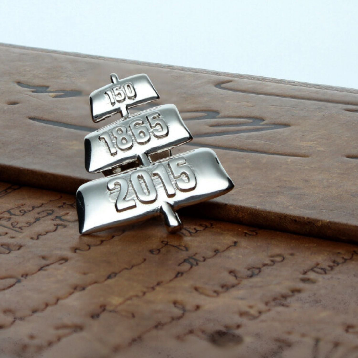Last Chance: Silver Mimosa brooch / lapel pin