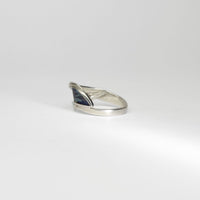 Niobium, silver & gold ring by Brian Eburah