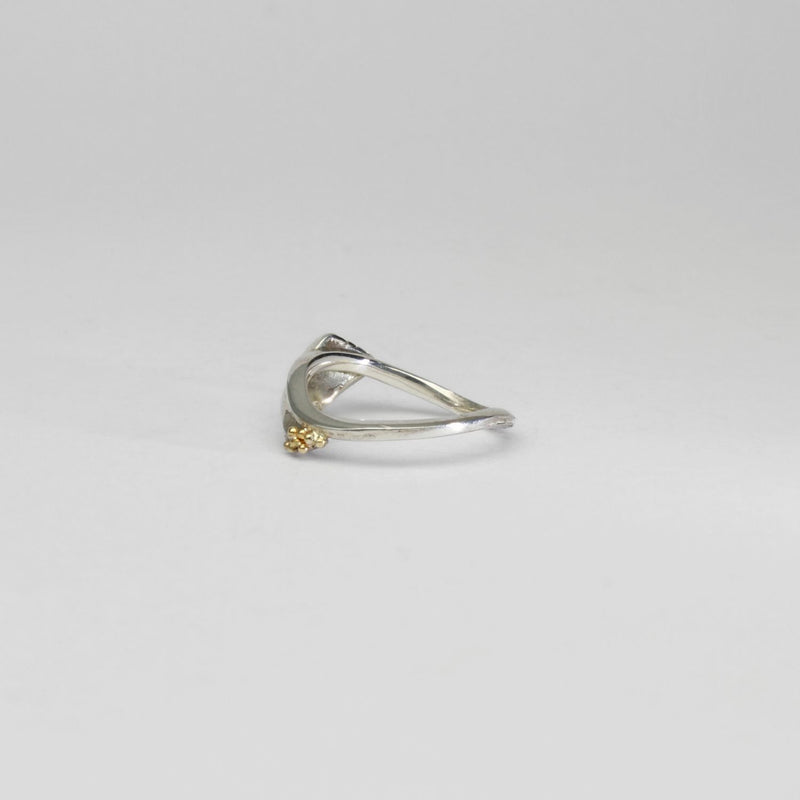 Rings - niobium & silver ring by Brian Eburah