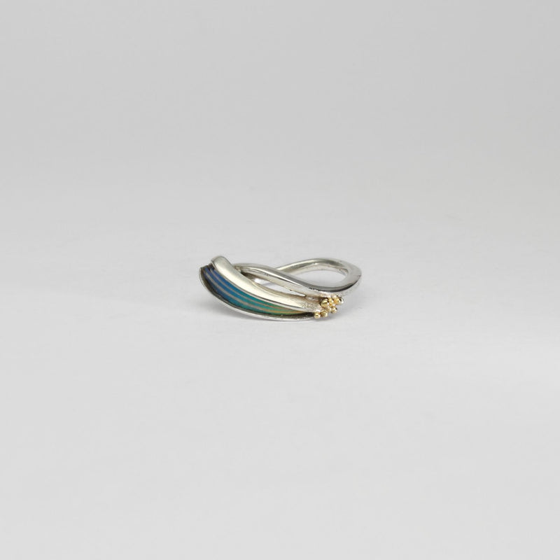 Rings - niobium & silver ring by Brian Eburah
