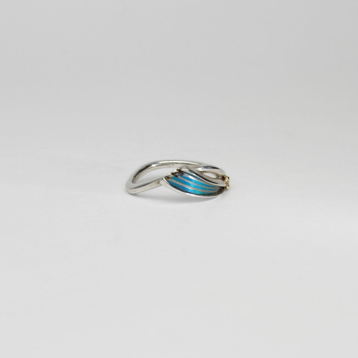 Rings - niobium & silver ring by Brian Eburah