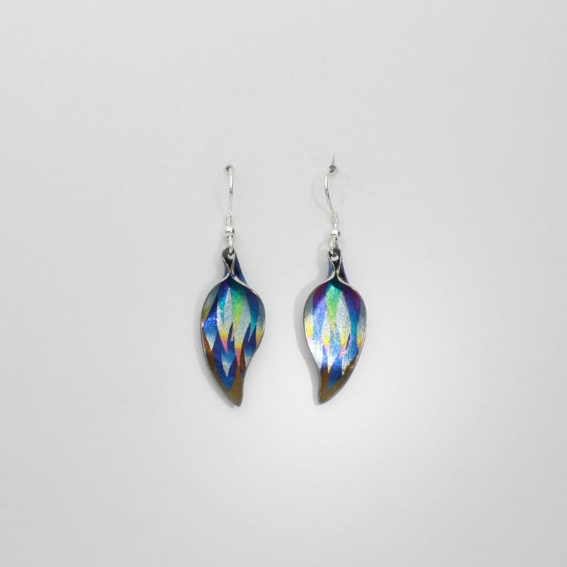Earrings - niobium & silver hook earrings by Brian Eburah