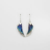 Earrings - Niobium & silver hook earrings by Brian Eburah