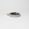 Necklace - small beading on cotton with French knots by Beatrice Mayfield