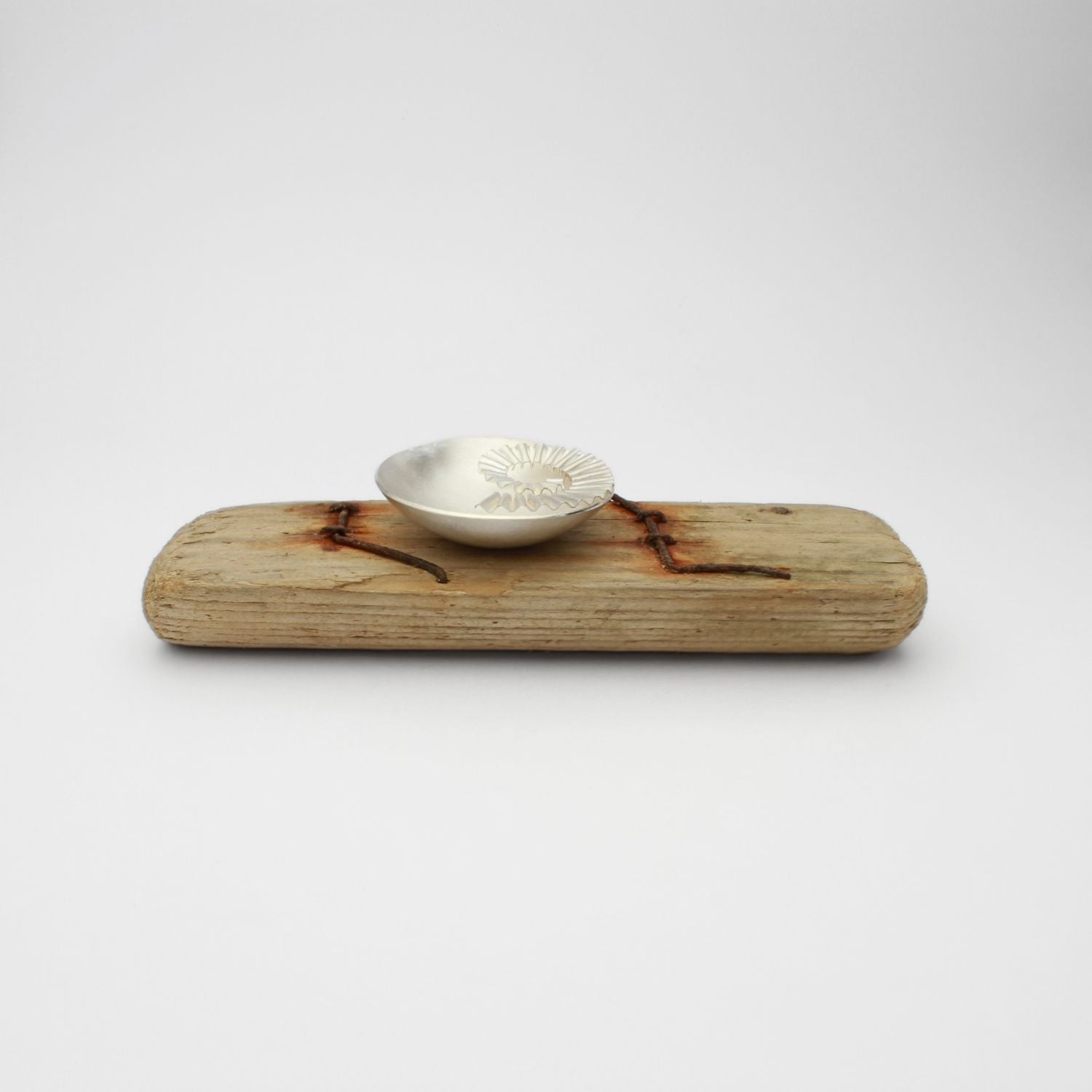 Silver ammonite bowl on small driftwood with nails by Suzie Horan