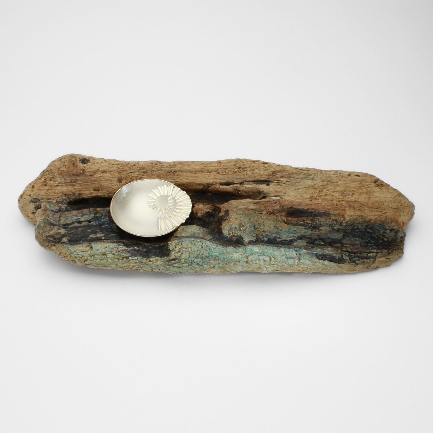 Silver ammonite bowl on driftwood by Suzie Horan