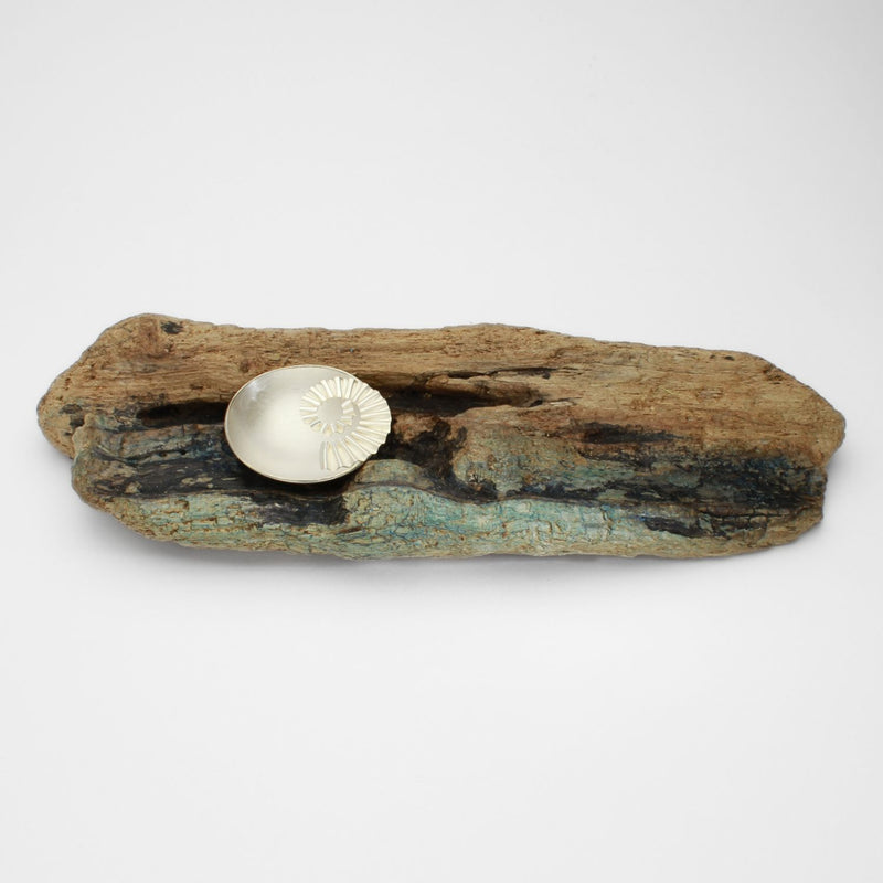 Silver ammonite bowl on driftwood by Suzie Horan