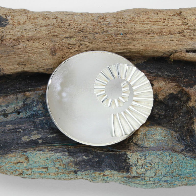 Silver ammonite bowl on driftwood by Suzie Horan