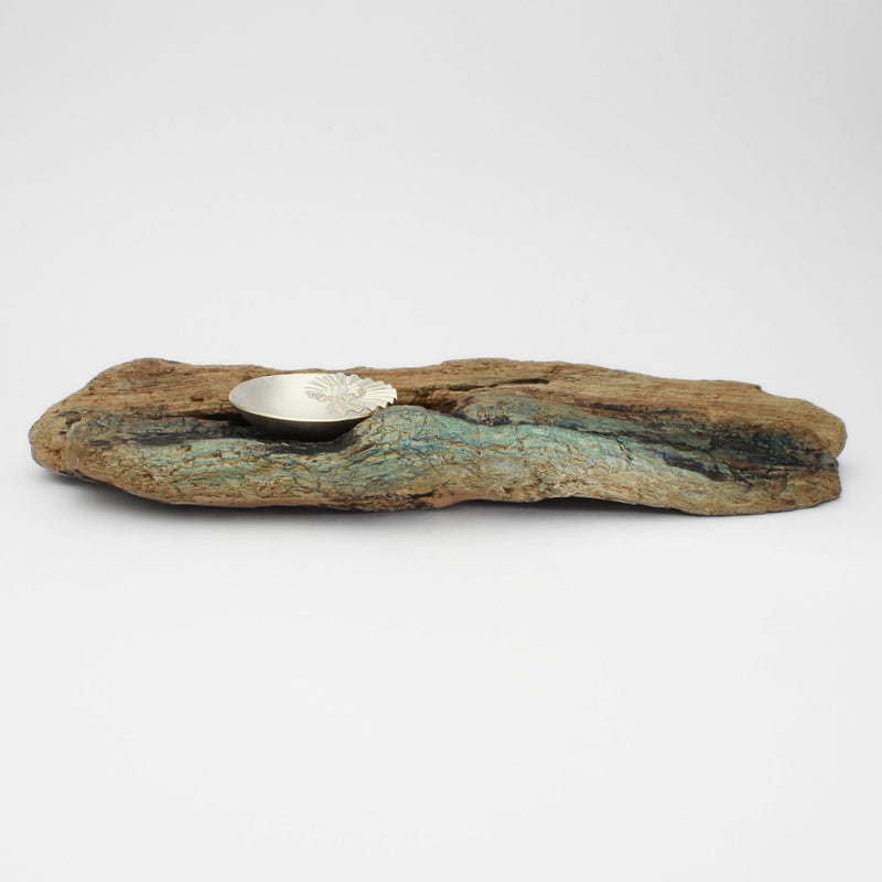 Silver ammonite bowl on driftwood by Suzie Horan