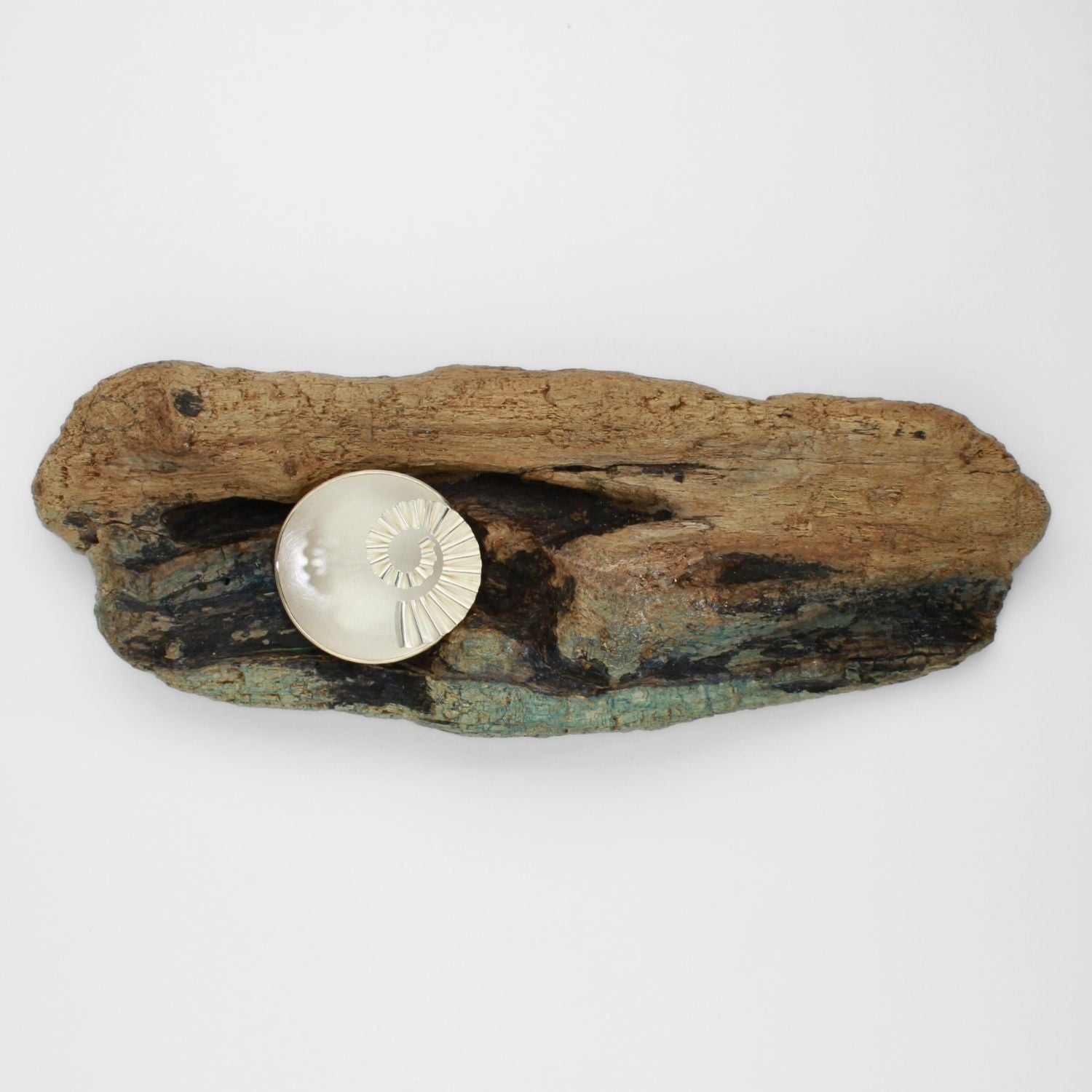 Silver ammonite bowl on driftwood by Suzie Horan