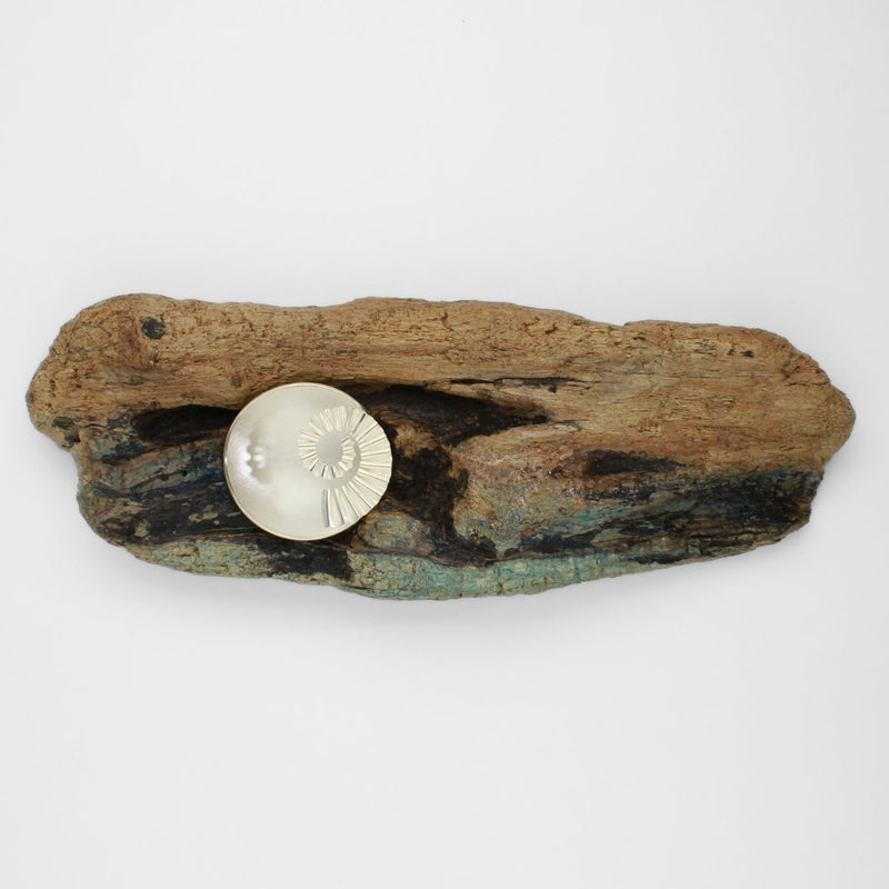 Silver ammonite bowl on driftwood by Suzie Horan