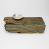 Silver ammonite bowl on driftwood by Suzie Horan