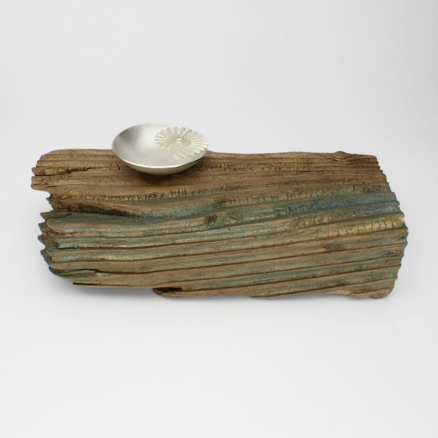 Silver ammonite bowl on driftwood by Suzie Horan