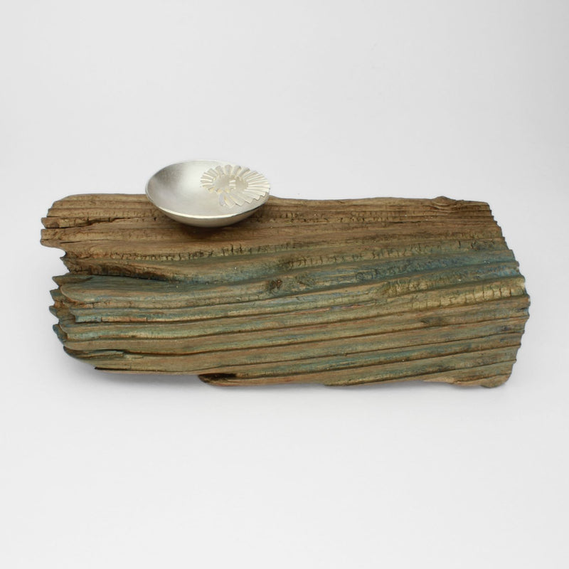 Silver ammonite bowl on driftwood by Suzie Horan