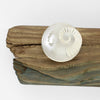 Silver ammonite bowl on driftwood by Suzie Horan