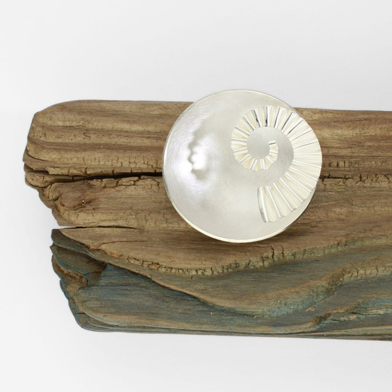 Silver ammonite bowl on driftwood by Suzie Horan