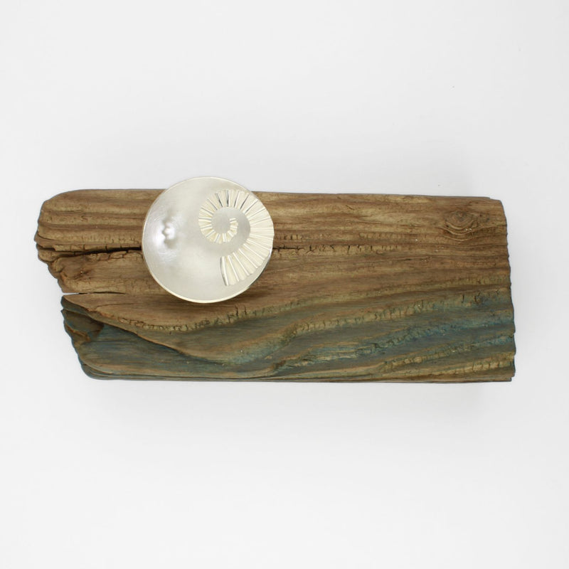 Silver ammonite bowl on driftwood by Suzie Horan