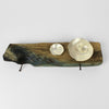 2 silver ammonite bowls on driftwood by Suzie Horan