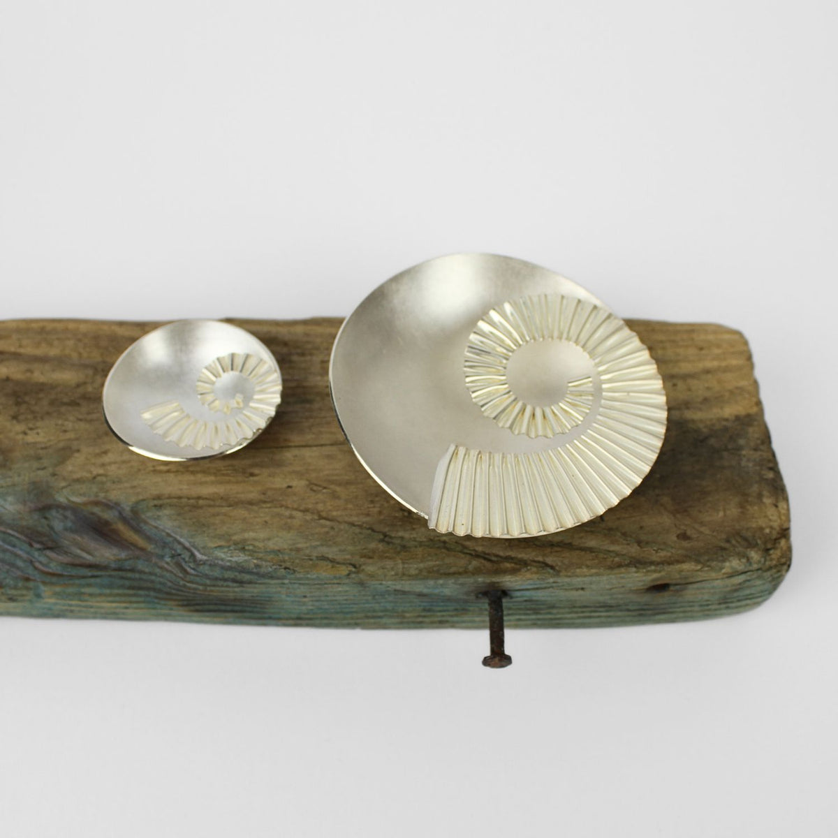 2 silver ammonite bowls on driftwood by Suzie Horan