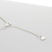 Cofio pendant on its chain, inspired by the award-winning poem — Mwclis Arian
