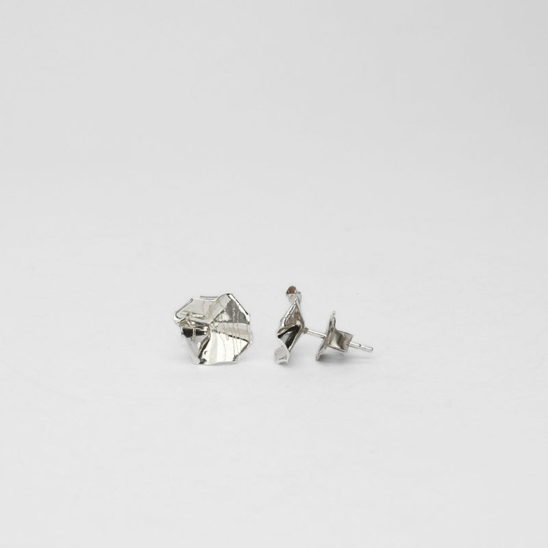 Decorative Concepts: Small Silver Earrings