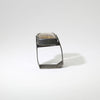 Rutilated quartz Monolith black silver ring by Chris Boland