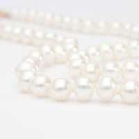 White Cultured River Pearl Necklace With 14ct Clasp - Mari Thomas Jewellery