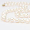 White Cultured River Pearl Necklace With 9ct Clasp - Mari Thomas Jewellery