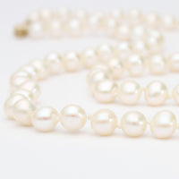 White Cultured River Pearl Necklace With 9ct Clasp - Mari Thomas Jewellery